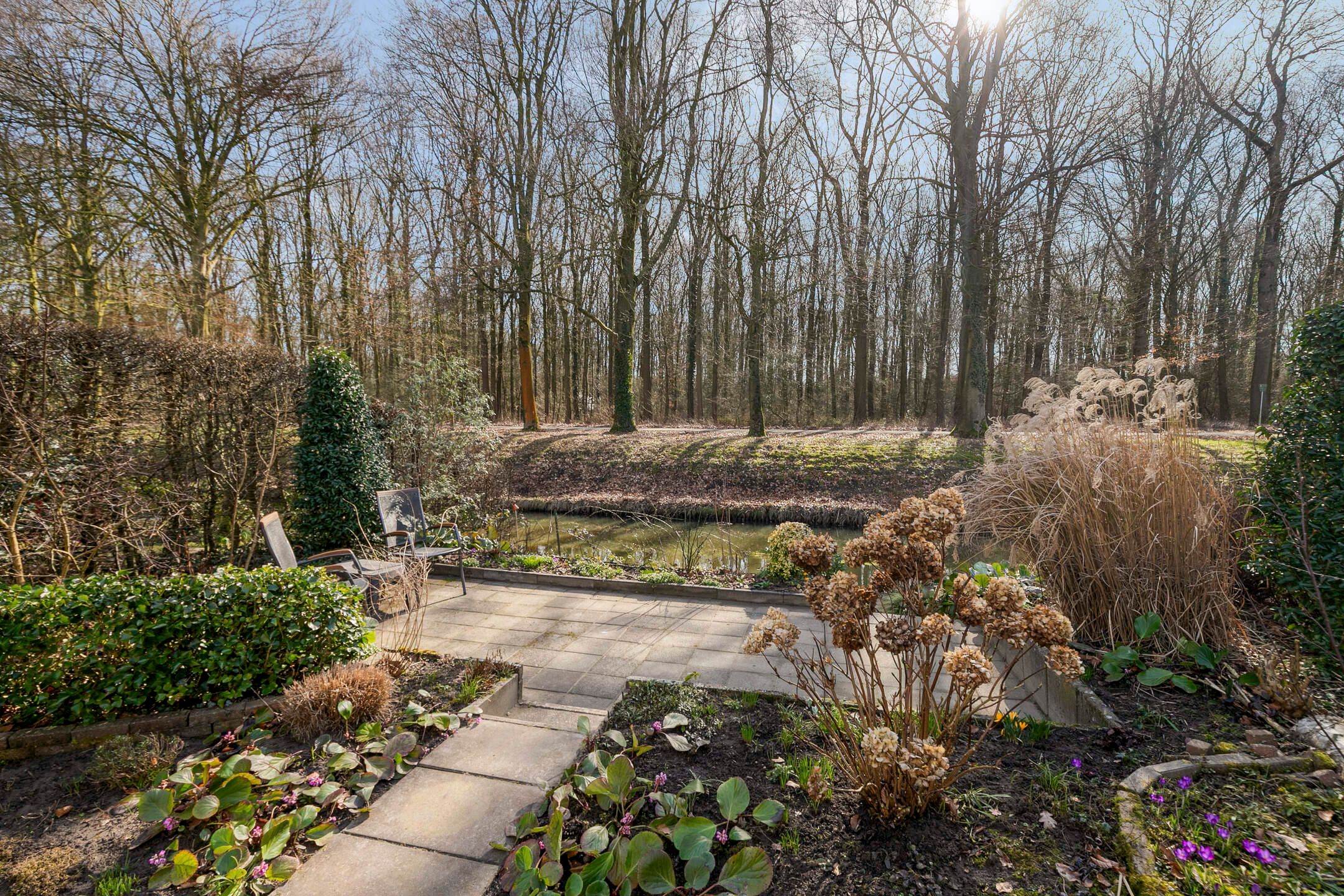 Foto 45 van Hoefslagmate 58