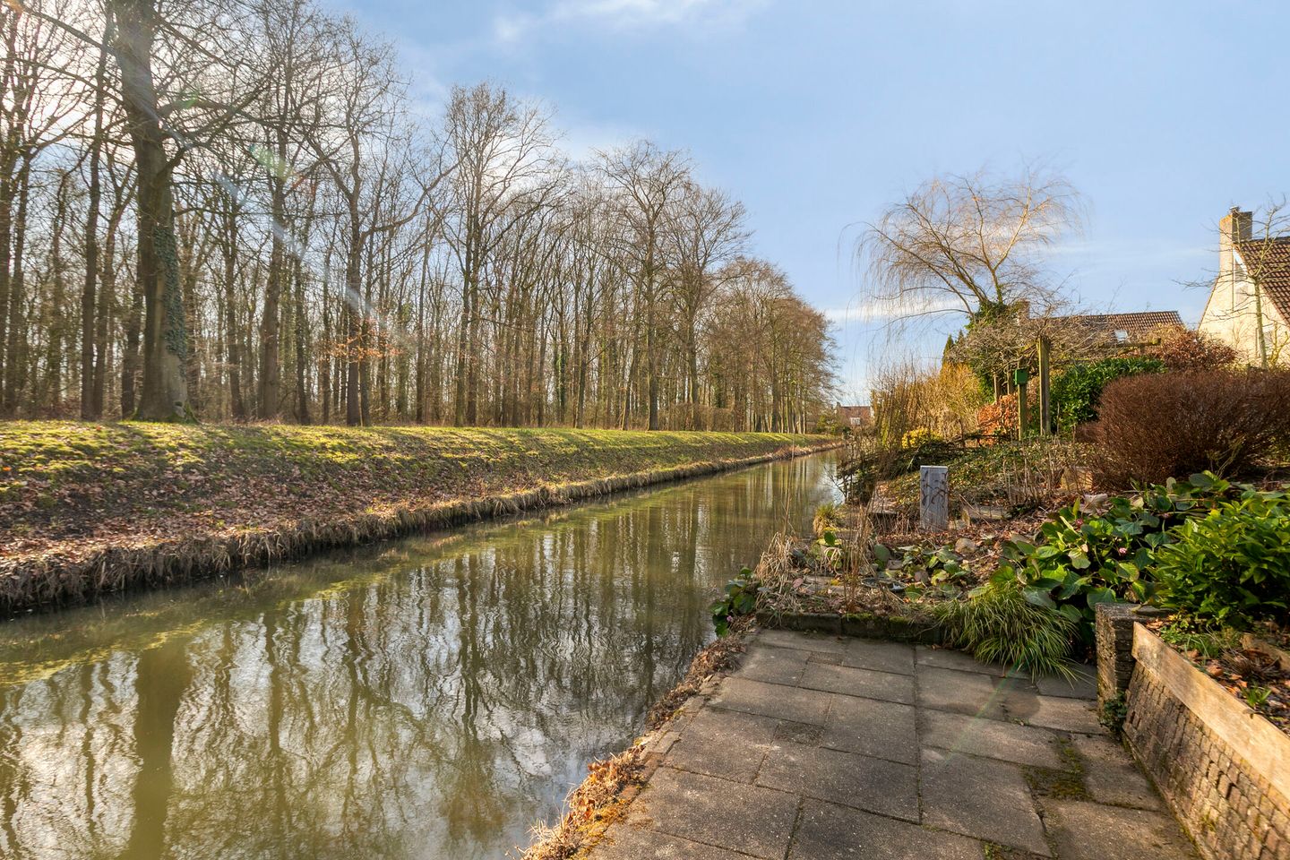 Foto 50 van Hoefslagmate 58