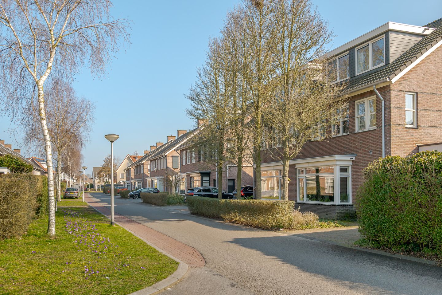 Foto 50 van Parnassia 13