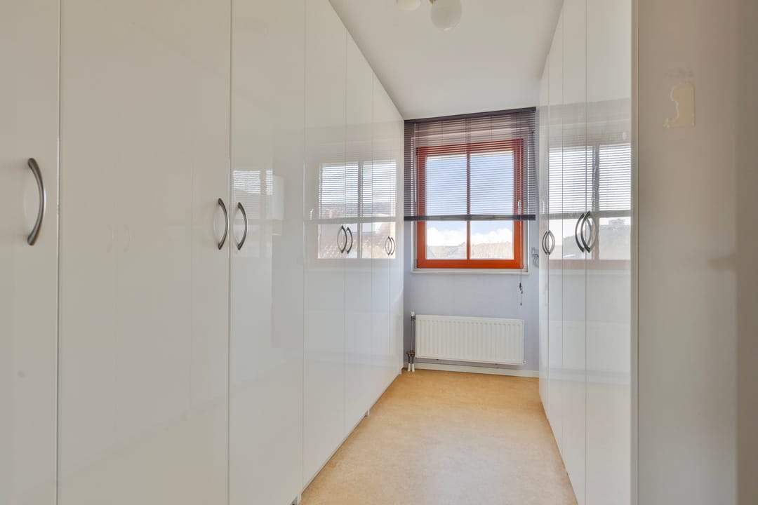 Foto 13 van Mambo 54