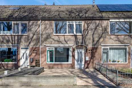 de Rikking thumbnail