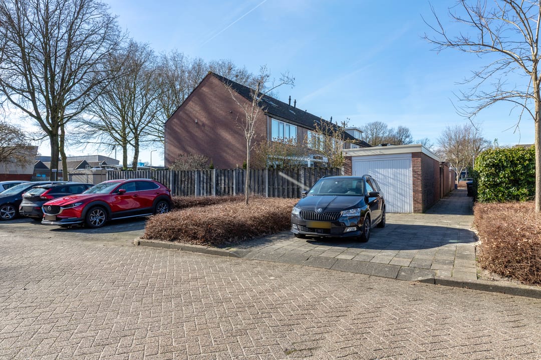 Foto 41 van de Rikking 3