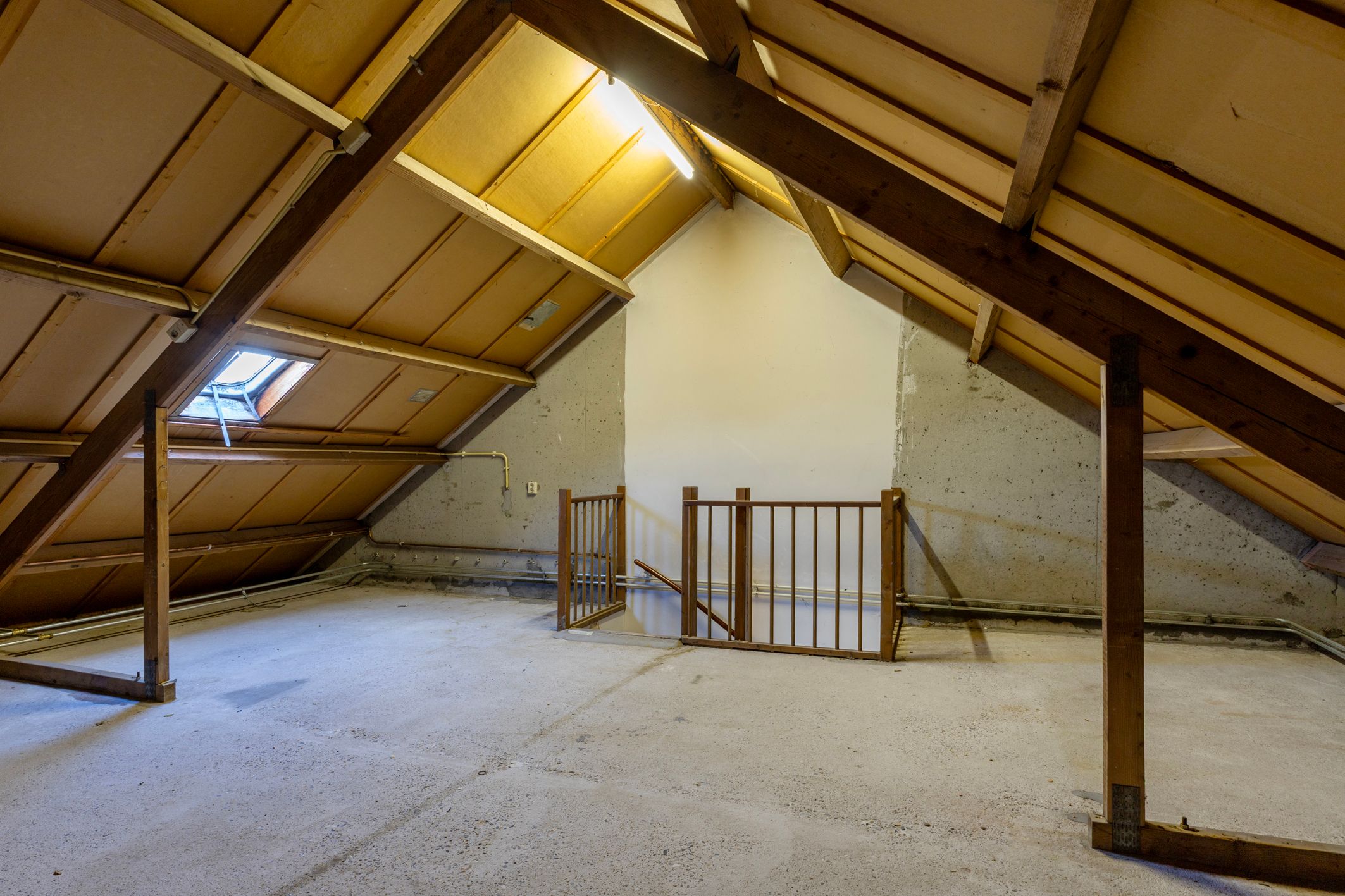 Foto 33 van de Rikking 3