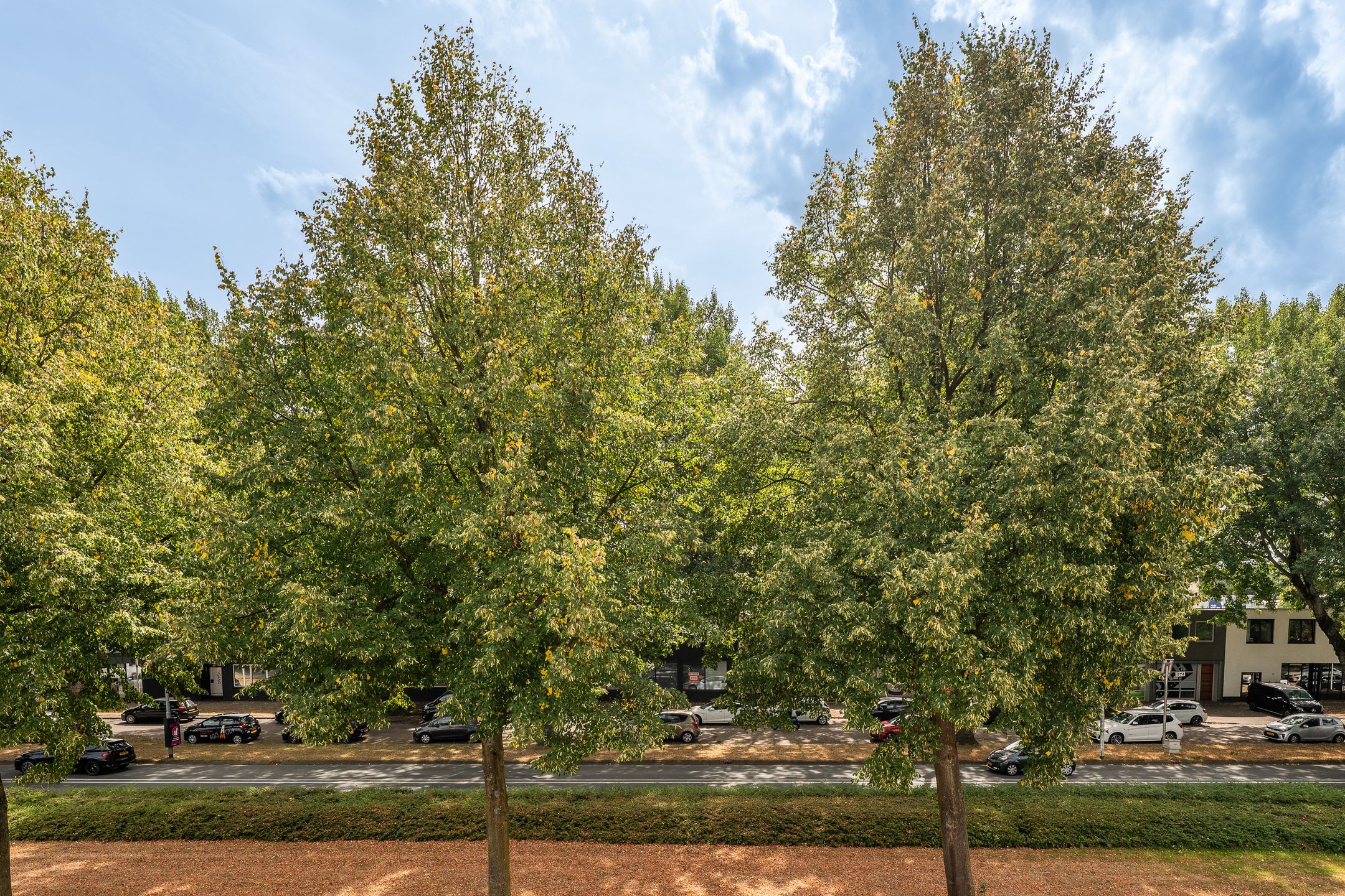 Foto 36 van Hondsruglaan 168