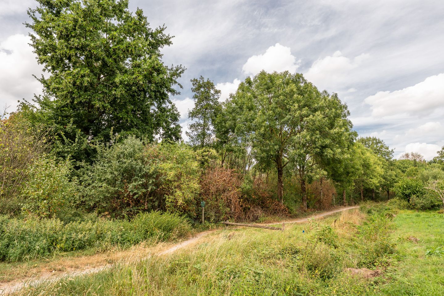 Foto 49 van Hondsruglaan 168