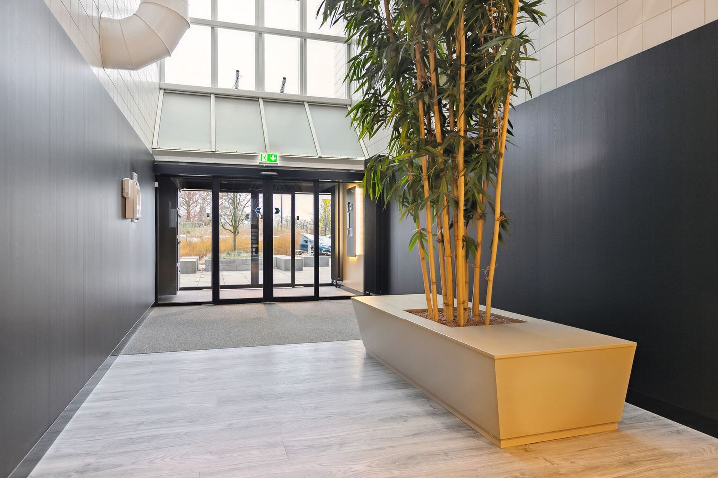 Bekijk foto 4 van Europalaan 6