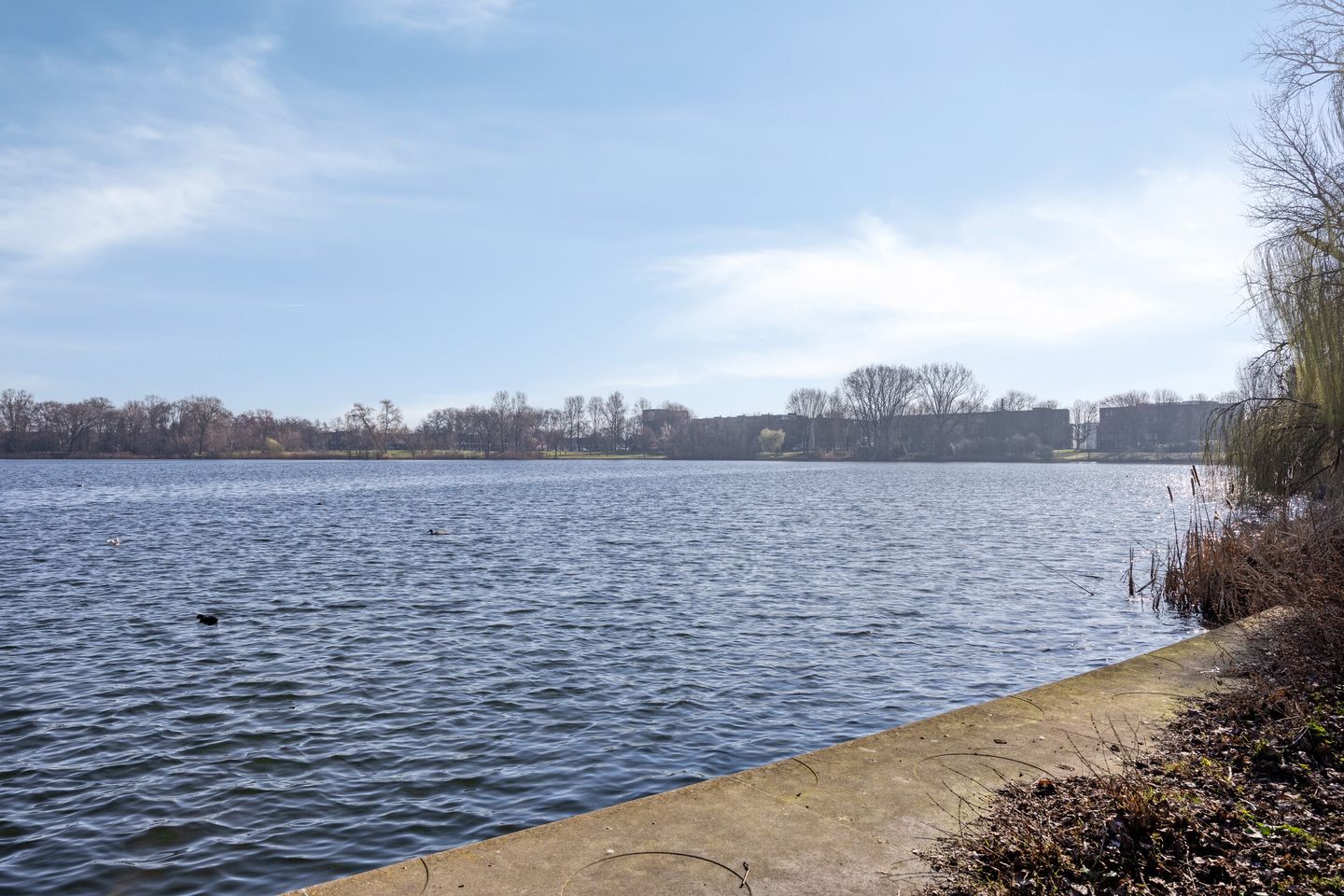 Photo 50 of Geldersedam 39
