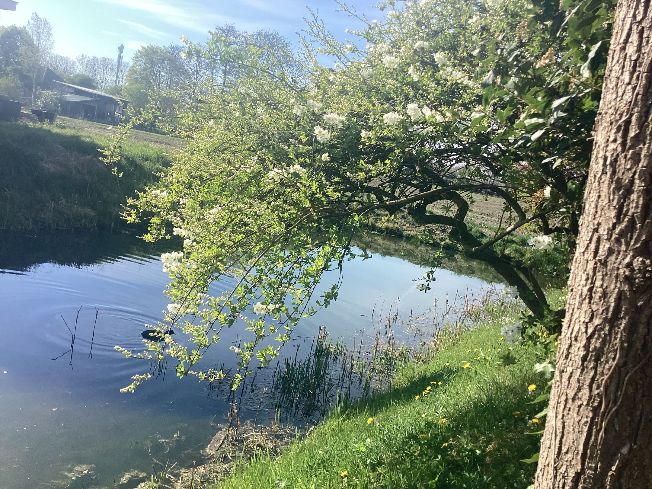 Foto 78 van Aeneas Mackaylaan 1