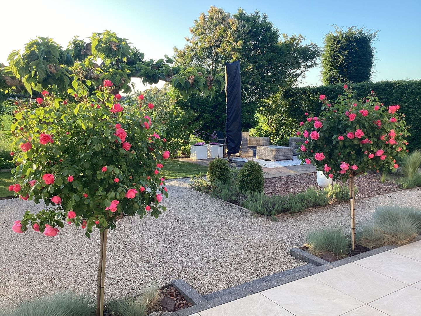 Foto 79 van Aeneas Mackaylaan 1