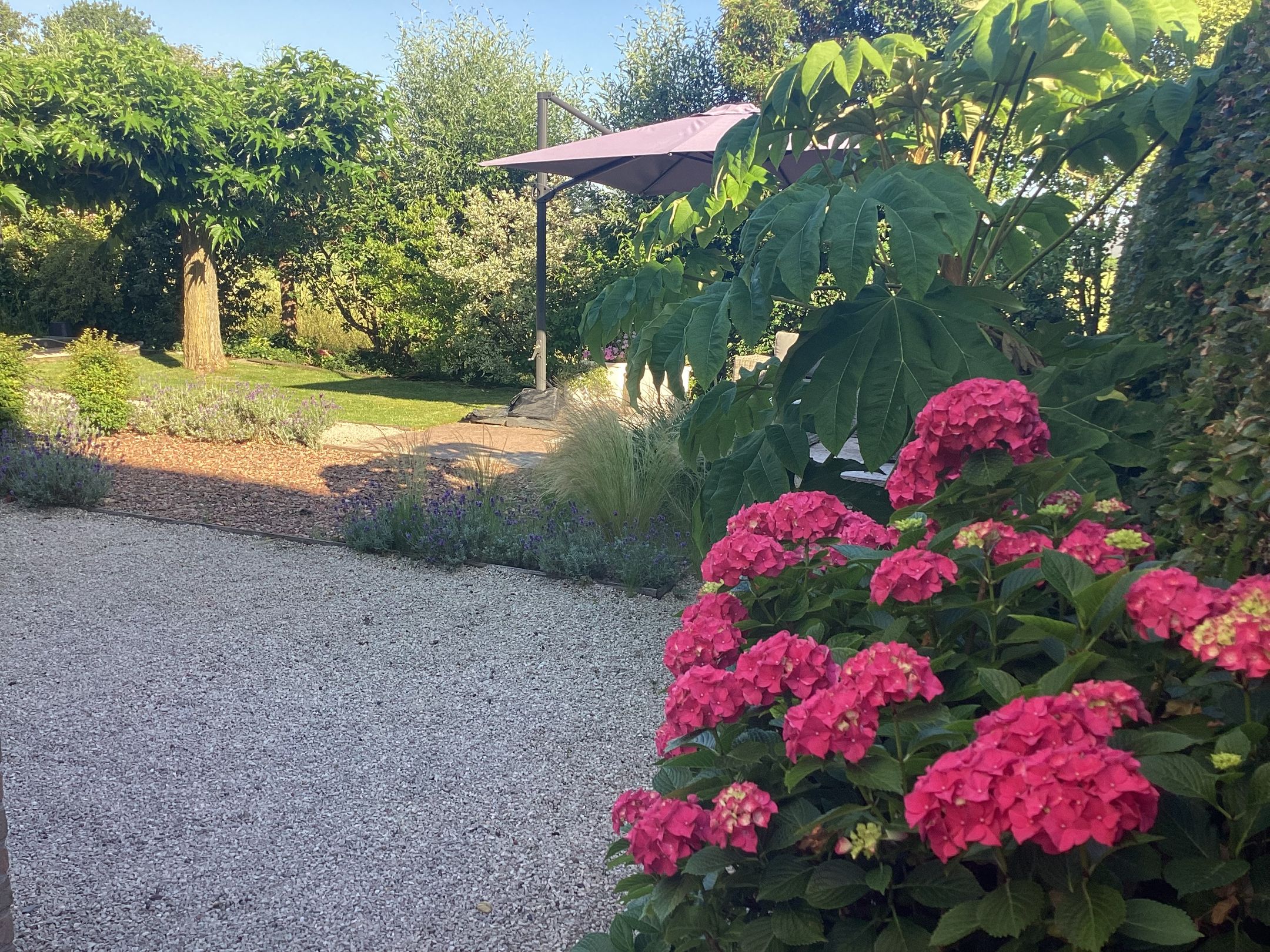 Foto 81 van Aeneas Mackaylaan 1