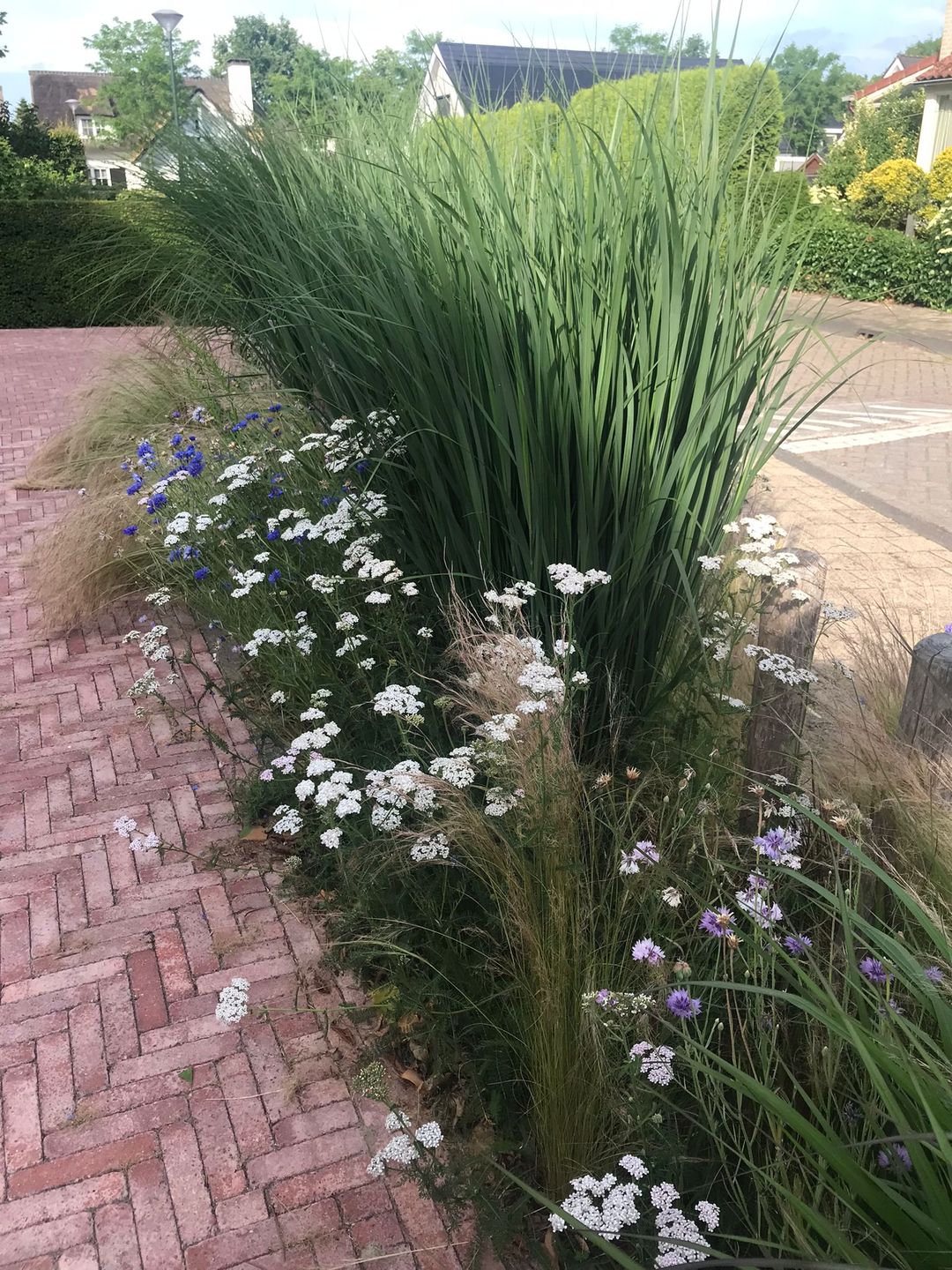 Foto 82 van Aeneas Mackaylaan 1