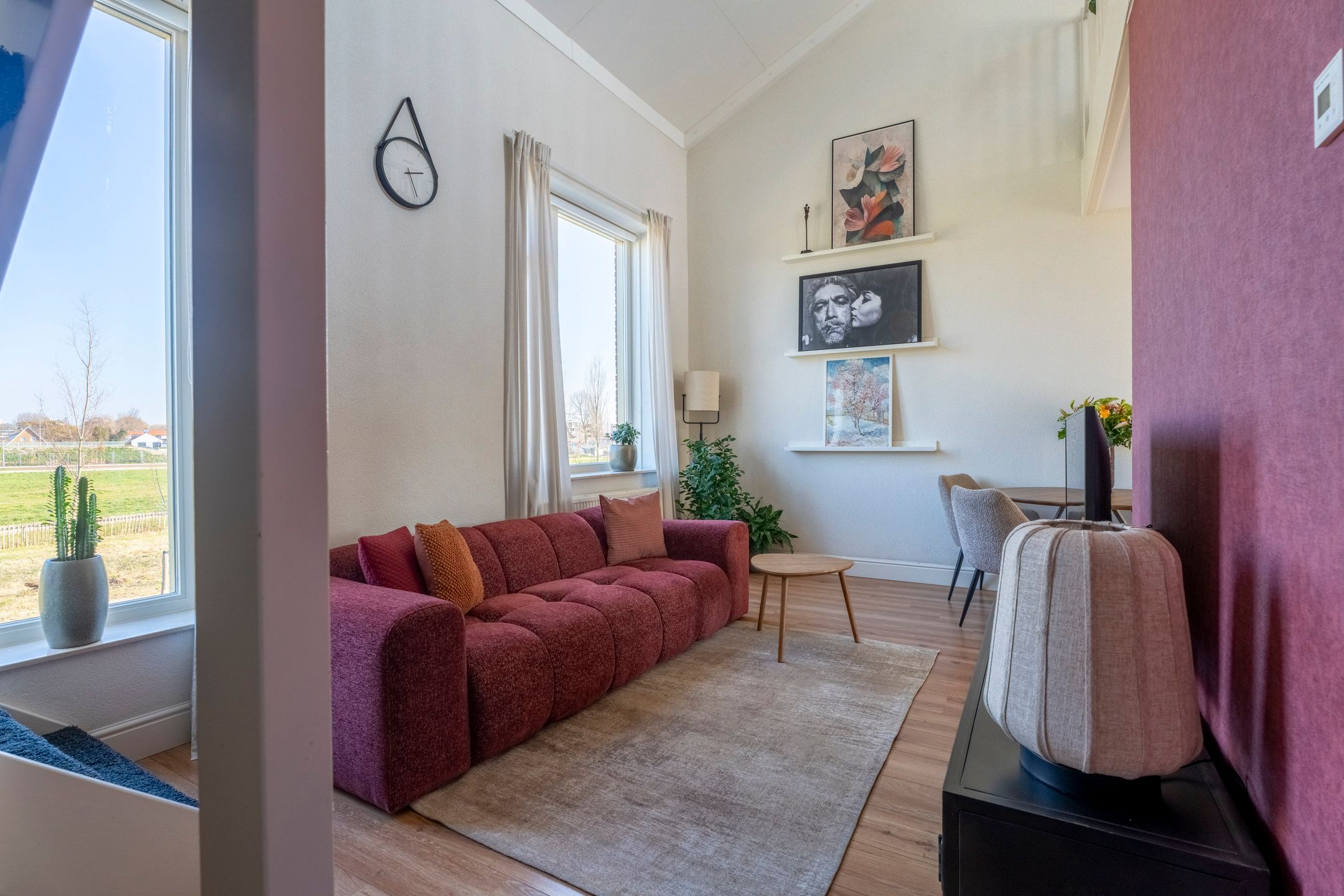 Photo 3 of Parnassia 411