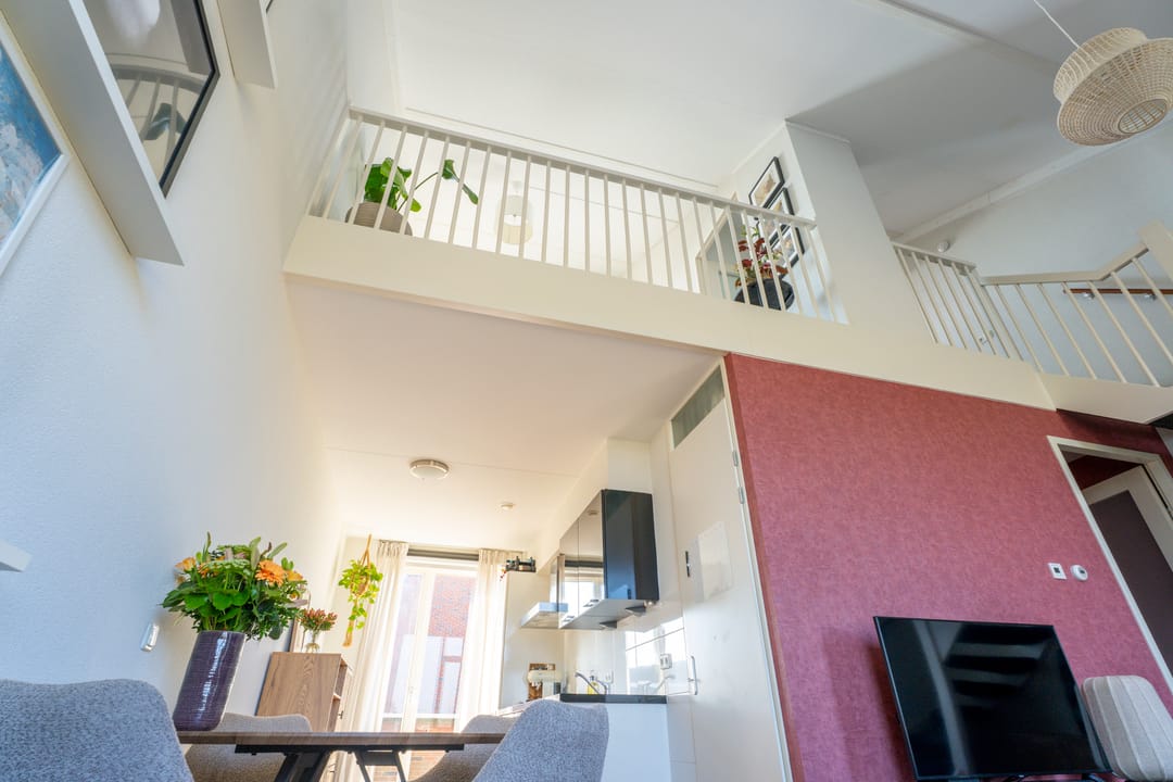 Photo 8 of Parnassia 411