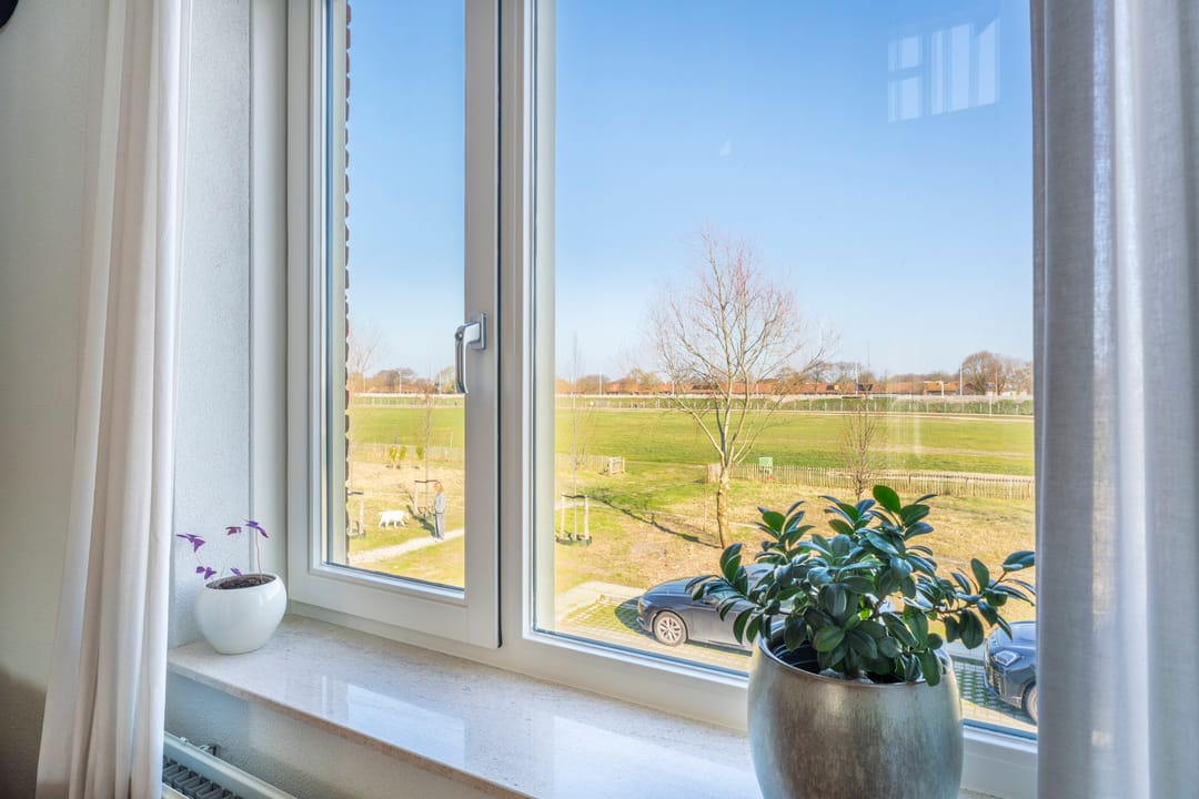 Photo 11 of Parnassia 411