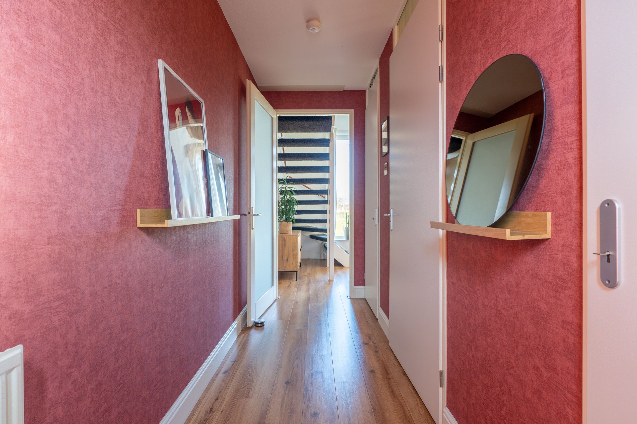 Photo 12 of Parnassia 411