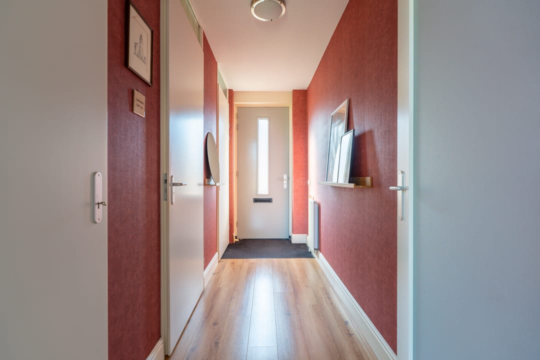 Photo 13 of Parnassia 411