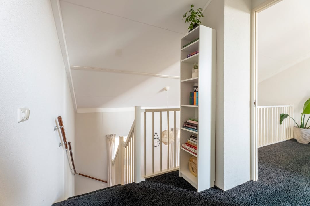 Photo 16 of Parnassia 411