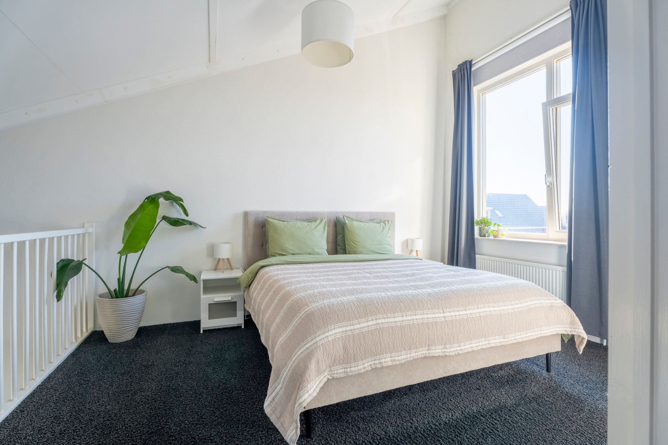 Photo 18 of Parnassia 411