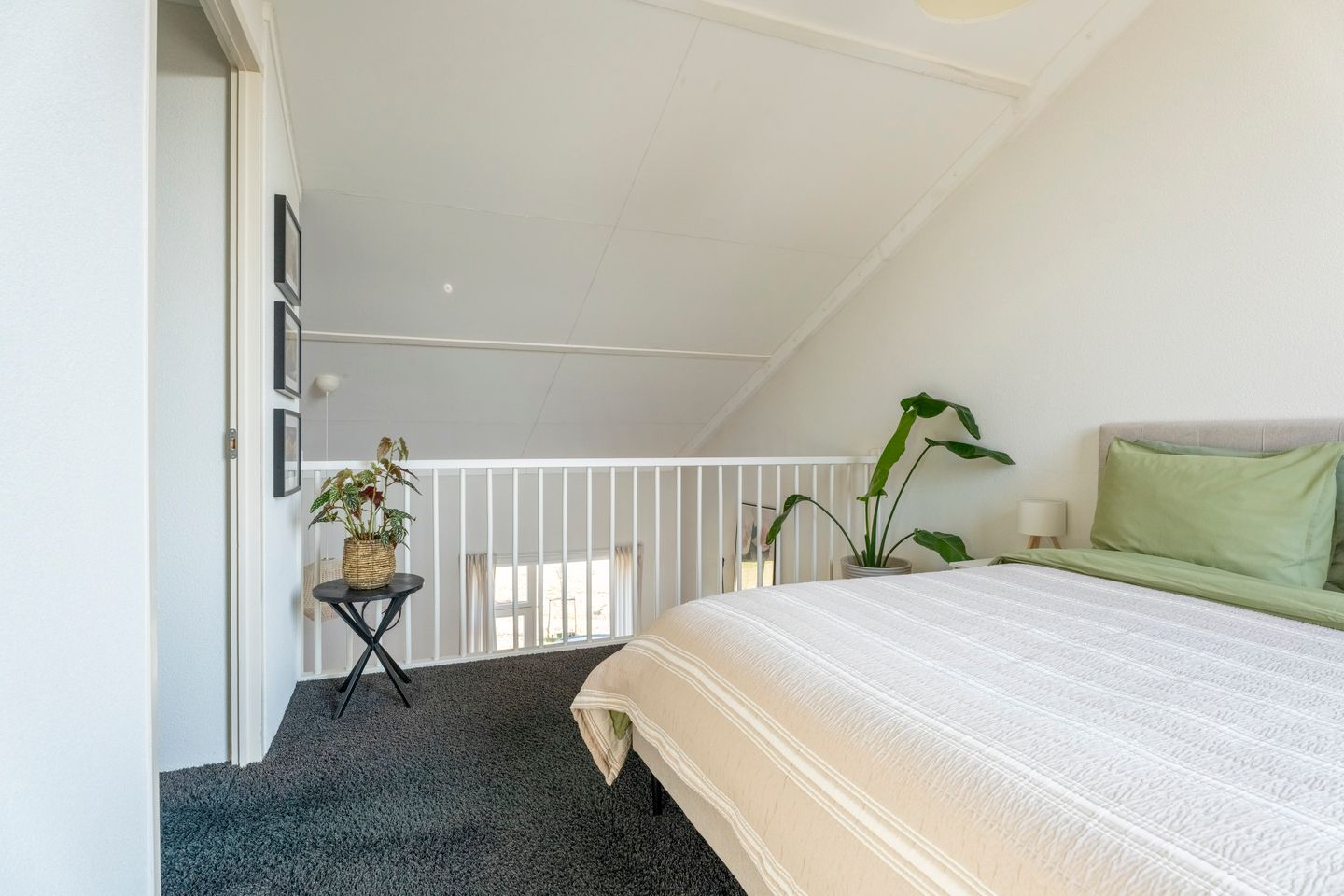 Photo 19 of Parnassia 411