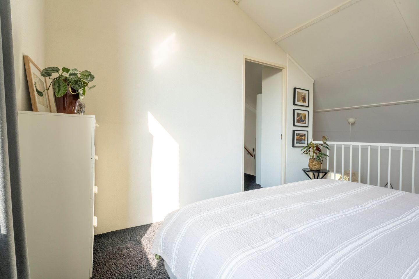 Photo 20 of Parnassia 411