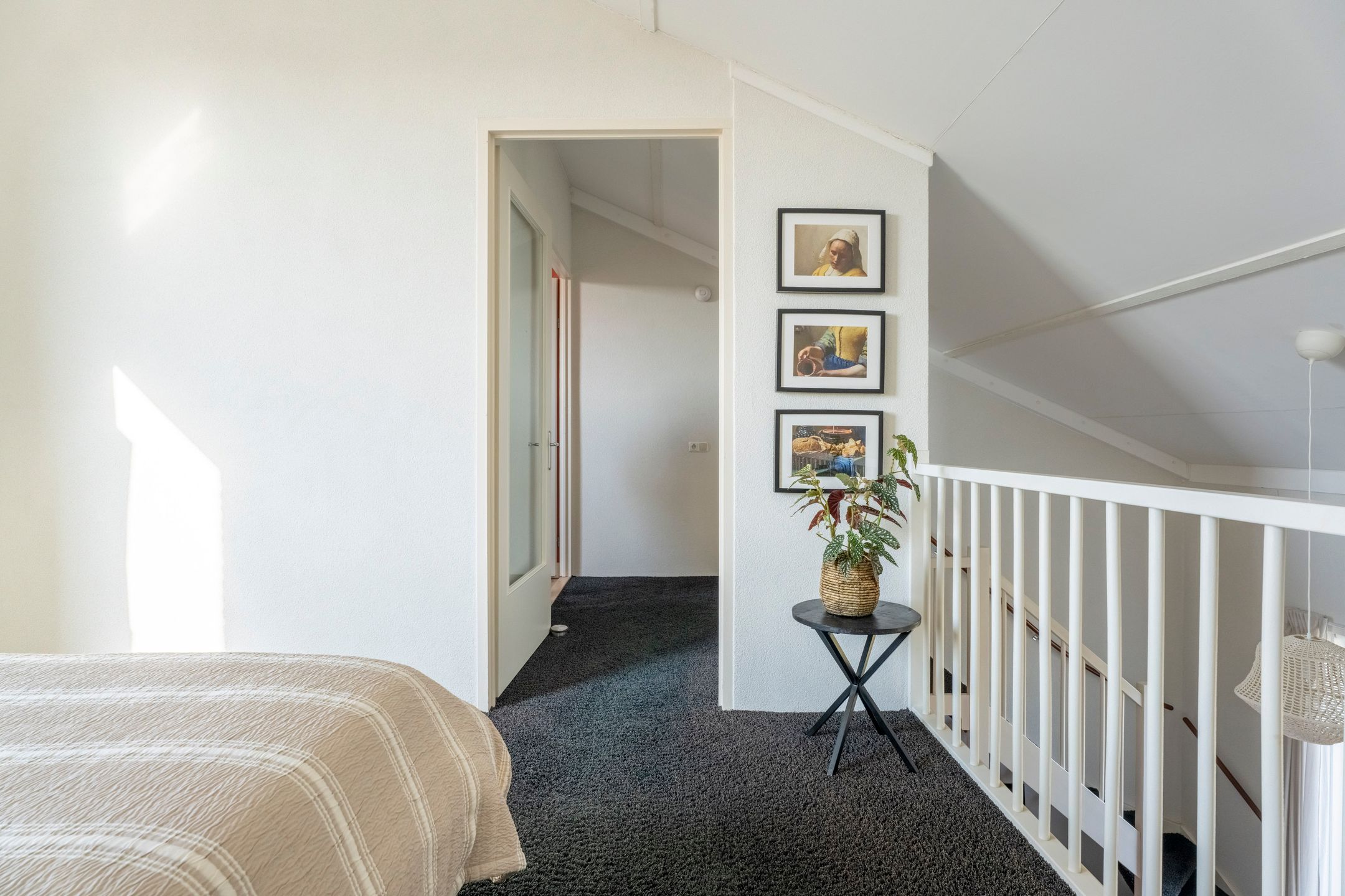 Photo 21 of Parnassia 411