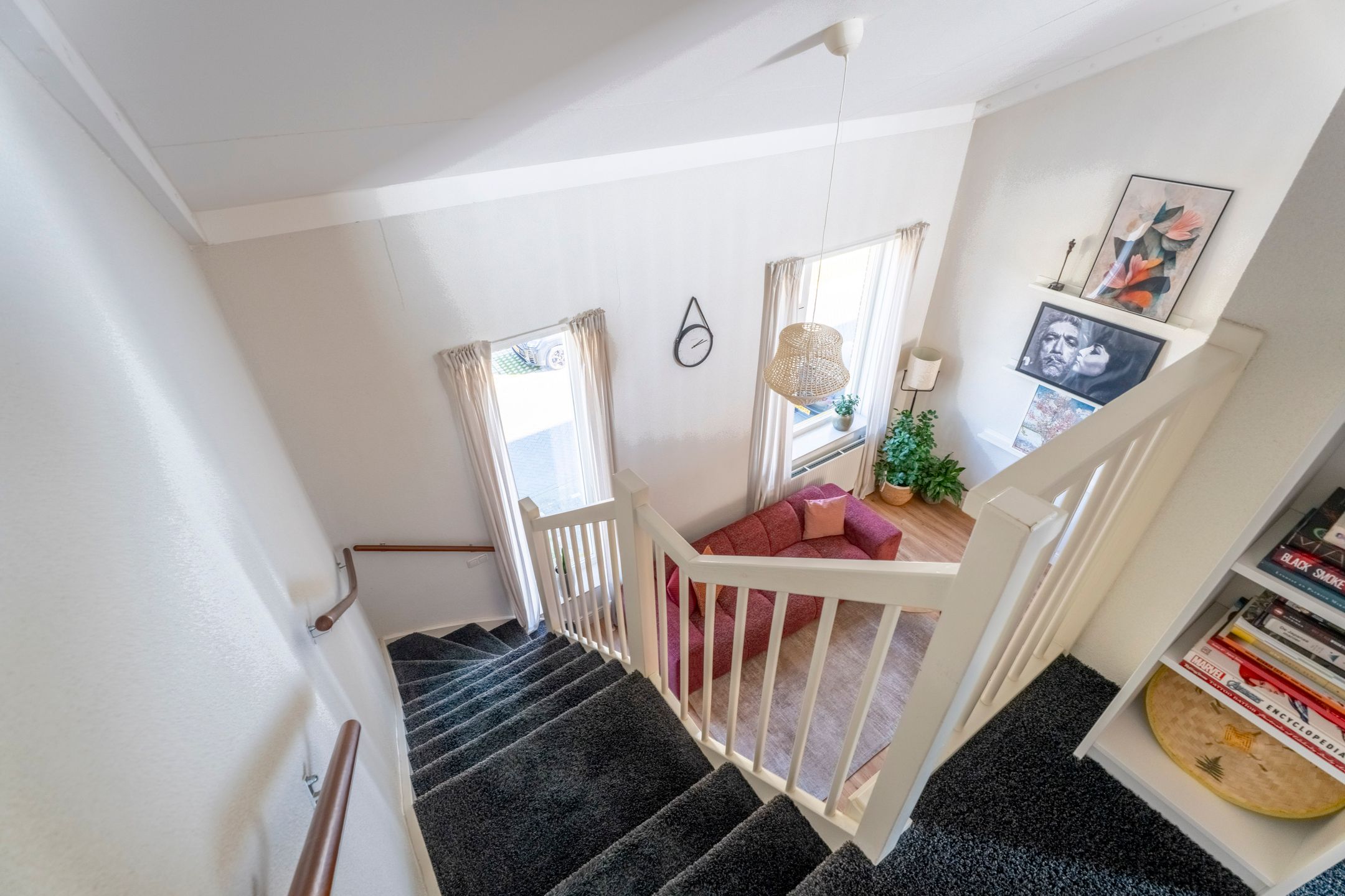 Photo 24 of Parnassia 411