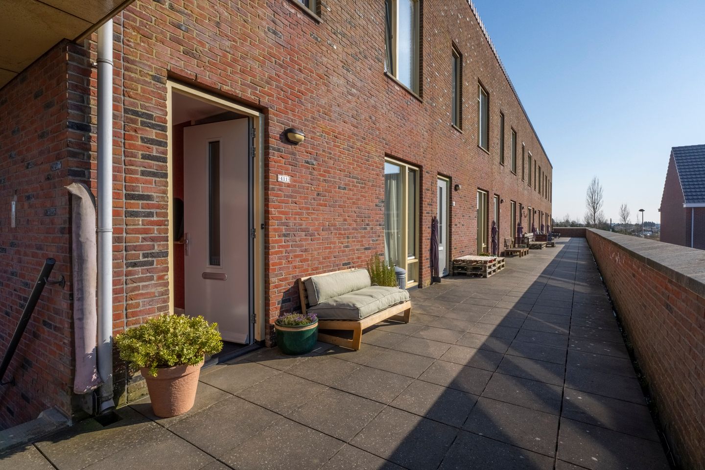 Photo 29 of Parnassia 411