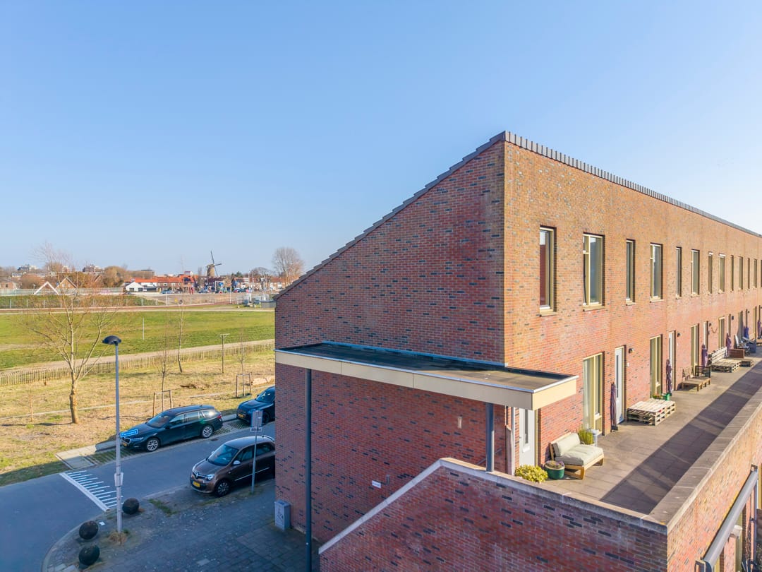 Photo 31 of Parnassia 411