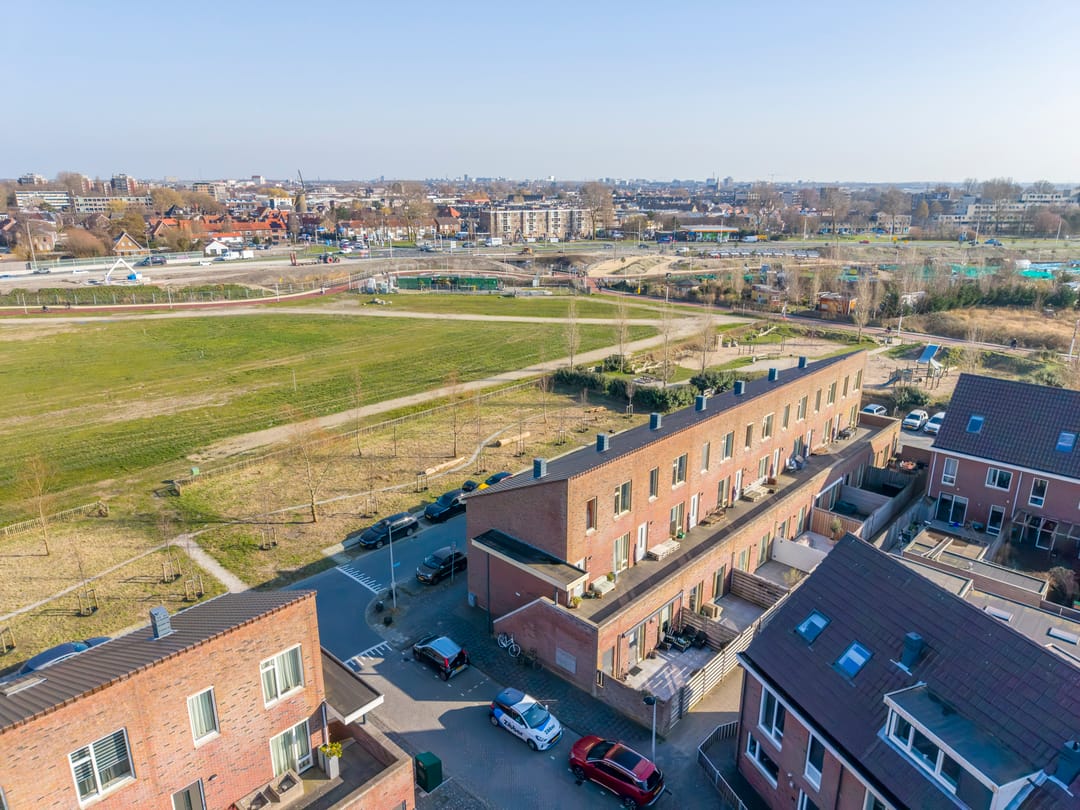 Photo 32 of Parnassia 411