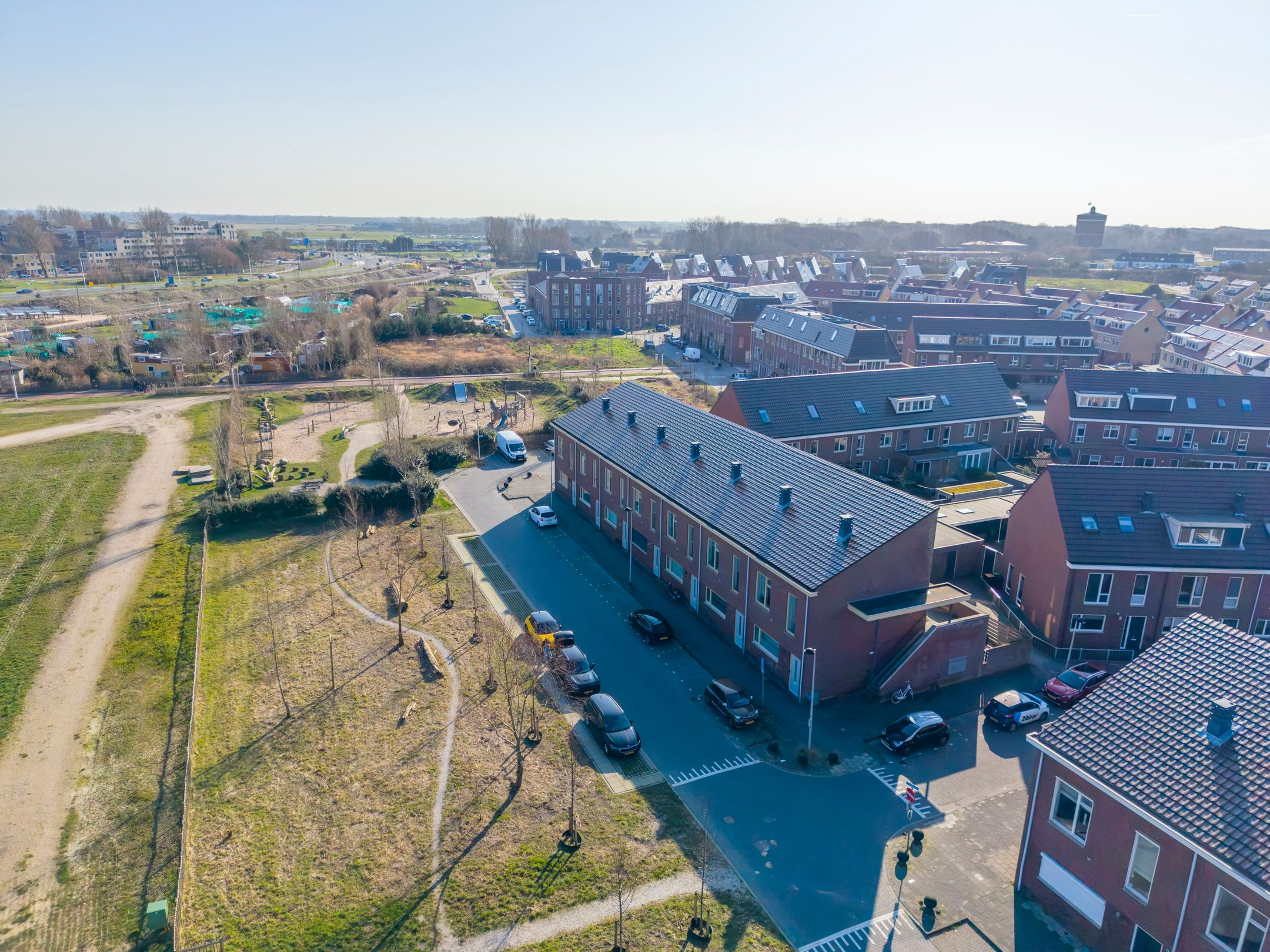 Photo 33 of Parnassia 411