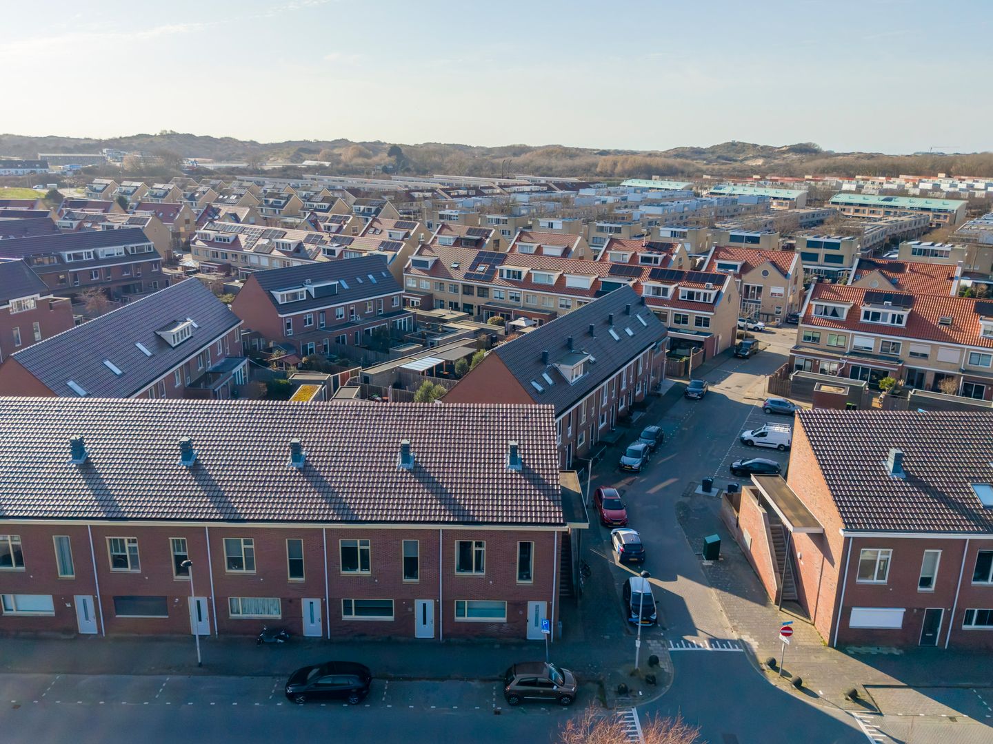 Photo 34 of Parnassia 411