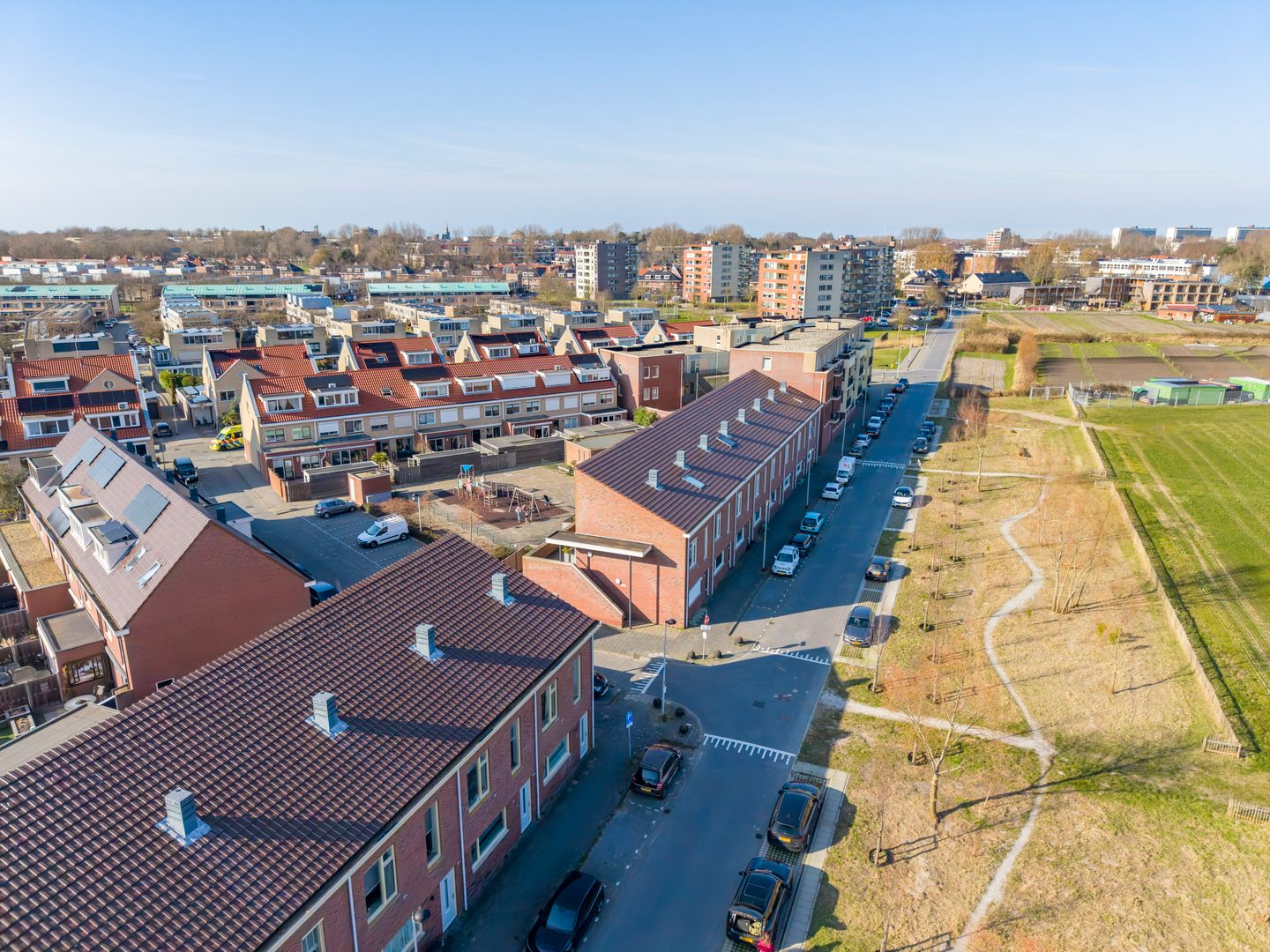 Photo 35 of Parnassia 411