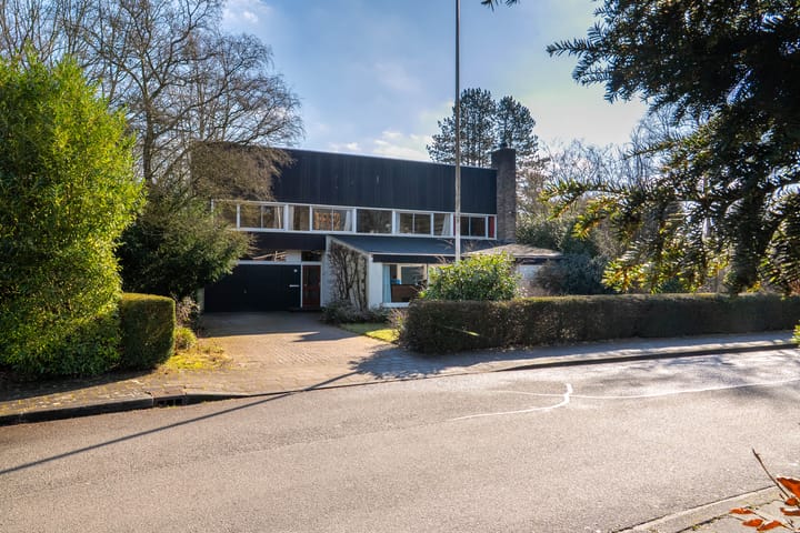 Domela Nieuwenhuislaan 20 main image