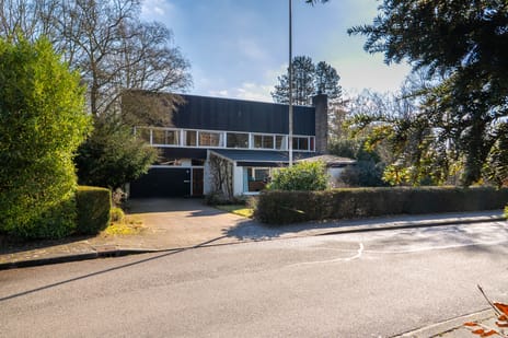 Domela Nieuwenhuislaan thumbnail