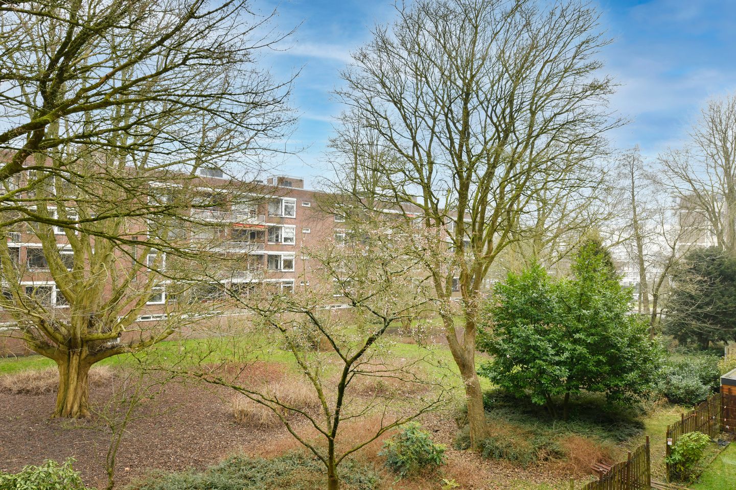 Photo 5 of Kanteel 8