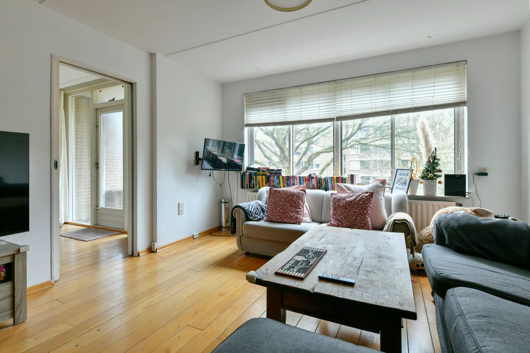 Photo 8 of Kanteel 8