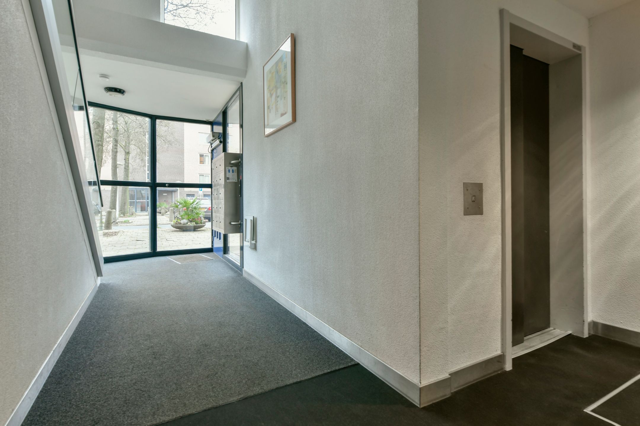 Photo 21 of Kanteel 8