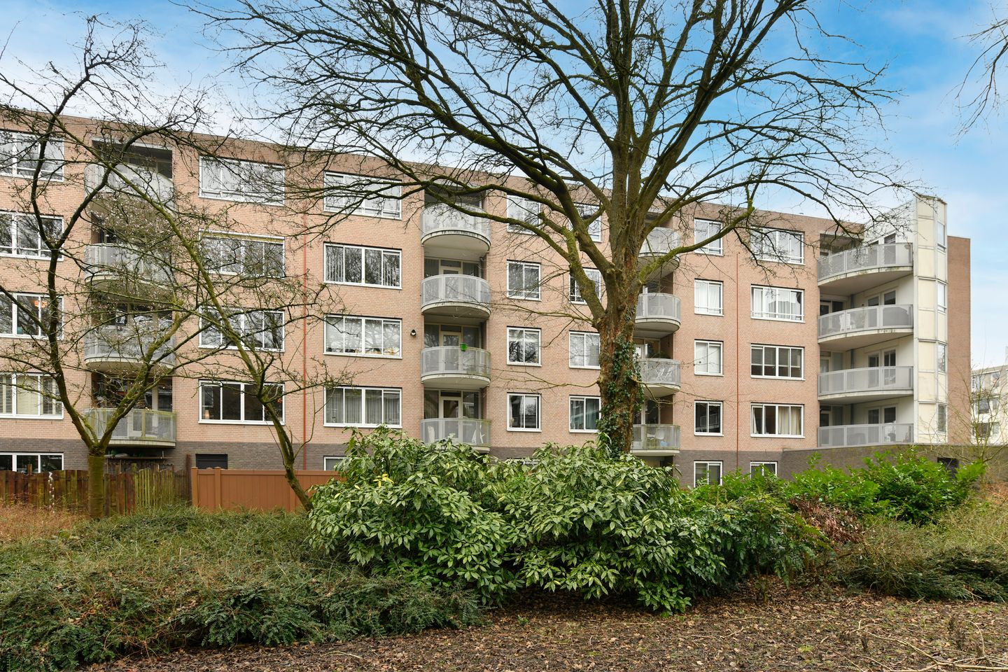 Photo 25 of Kanteel 8