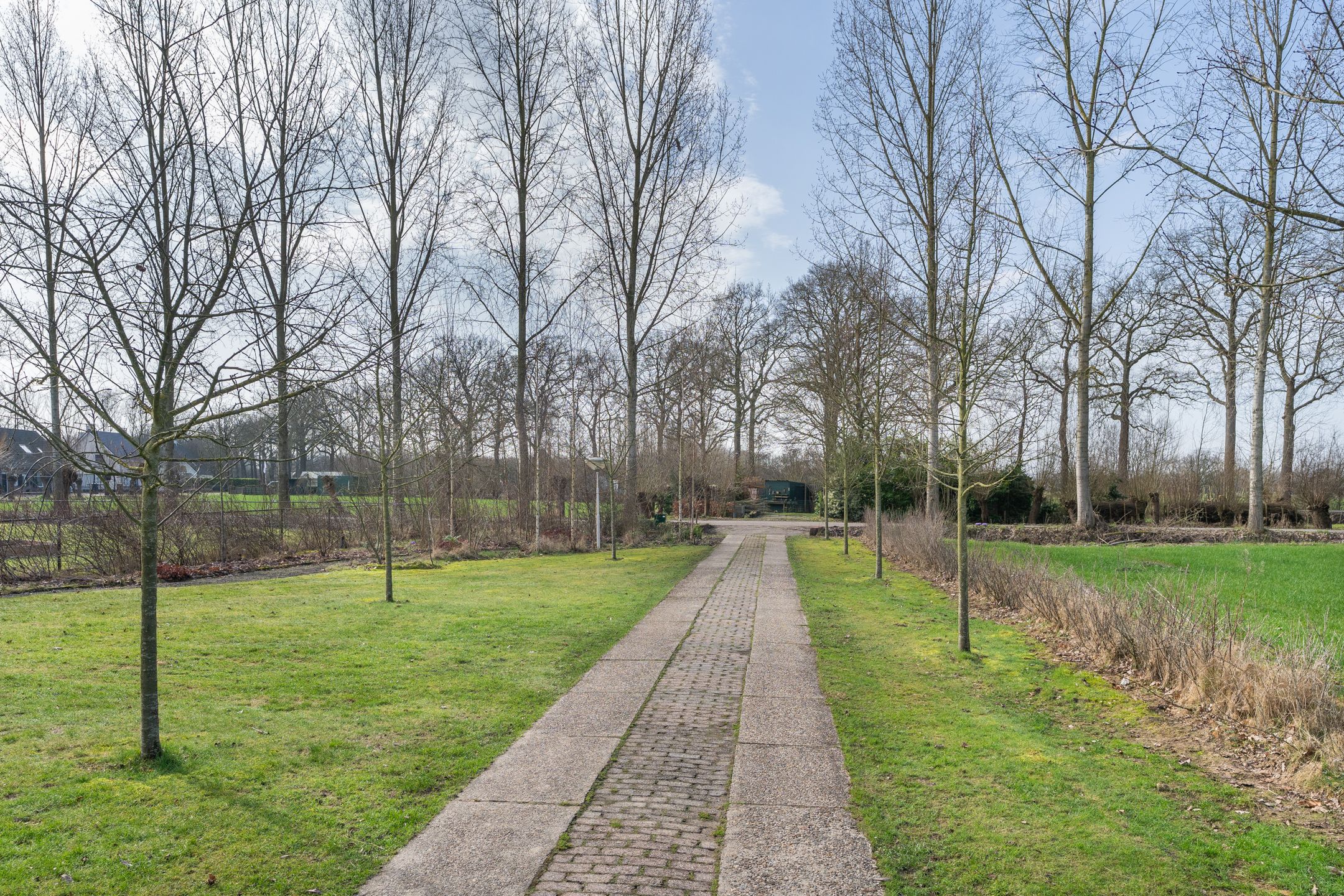 Foto 36 van Nachtegaalstraat 1