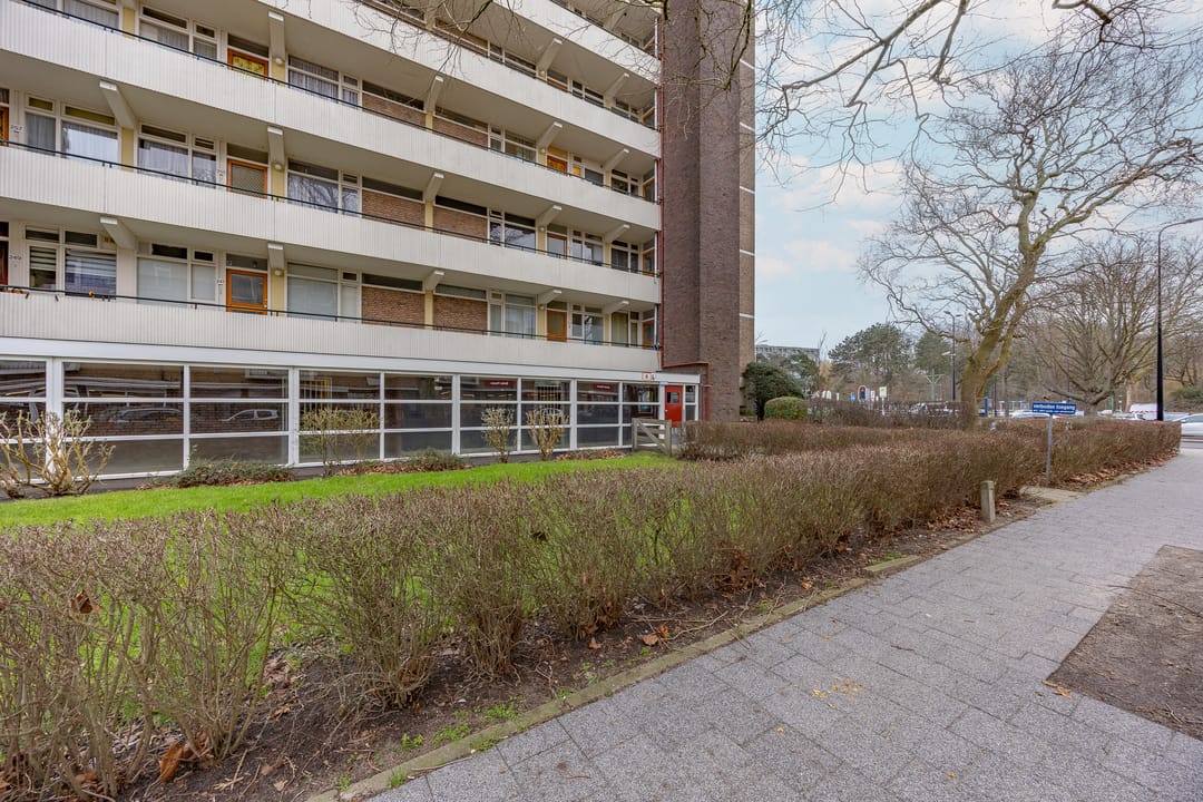 Photo 23 of Burgemeester Elsenlaan 305