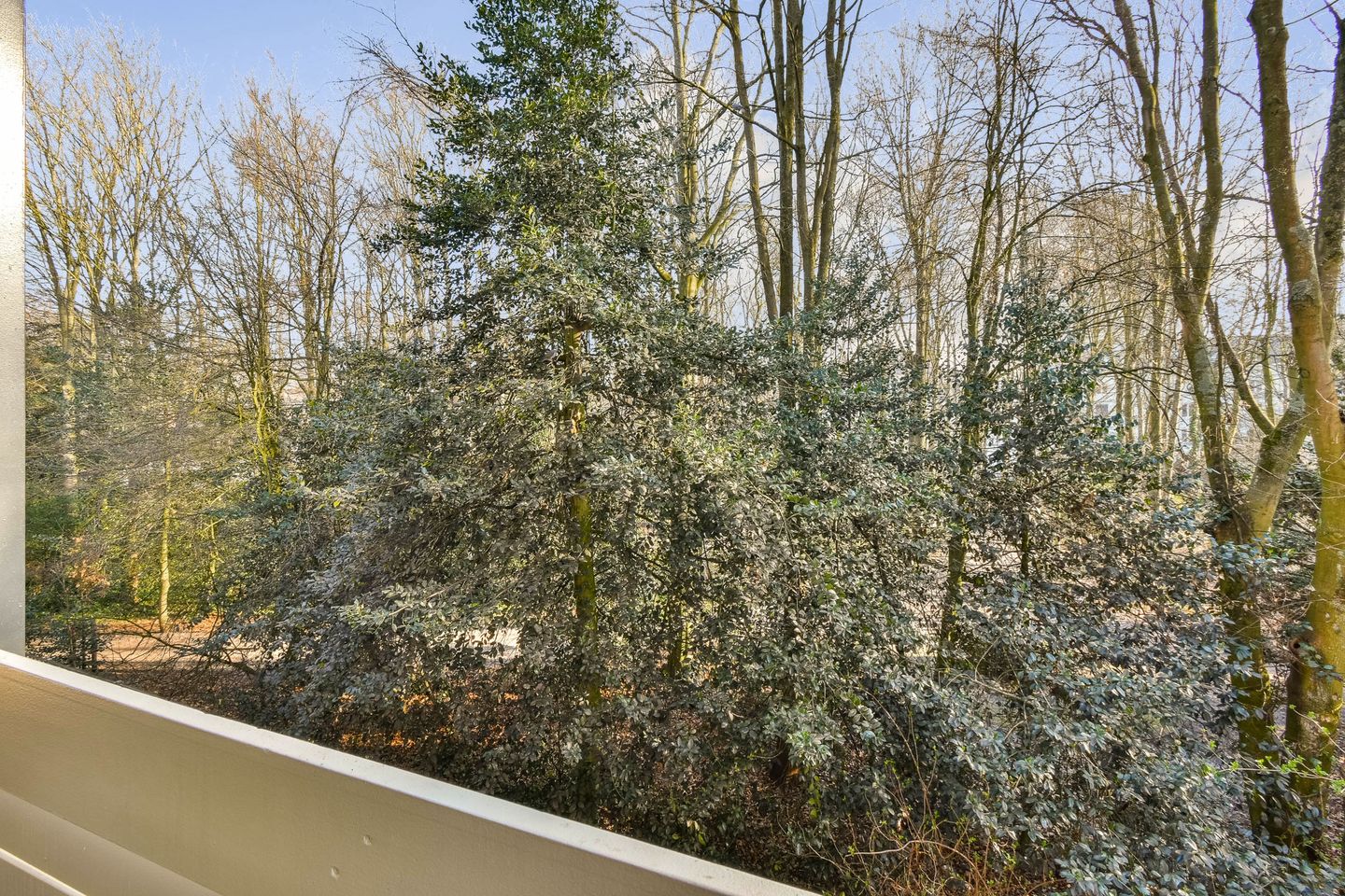 Foto 14 van Frederikstraat 353