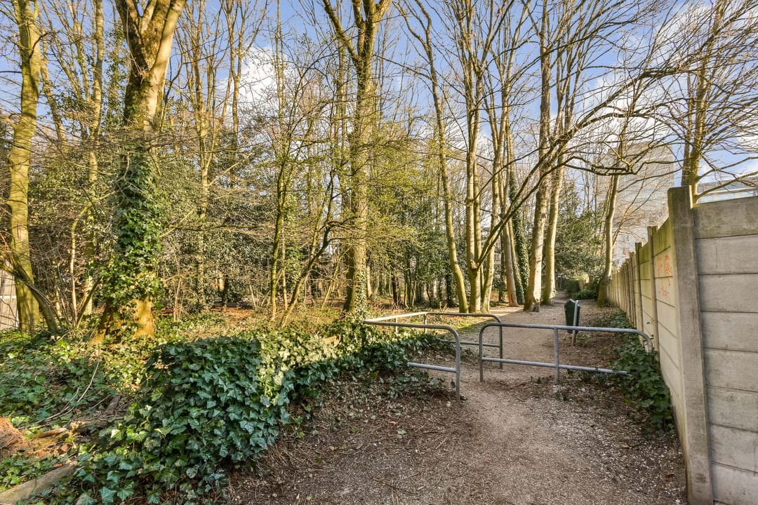 Foto 22 van Frederikstraat 353