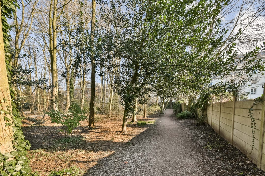 Foto 23 van Frederikstraat 353