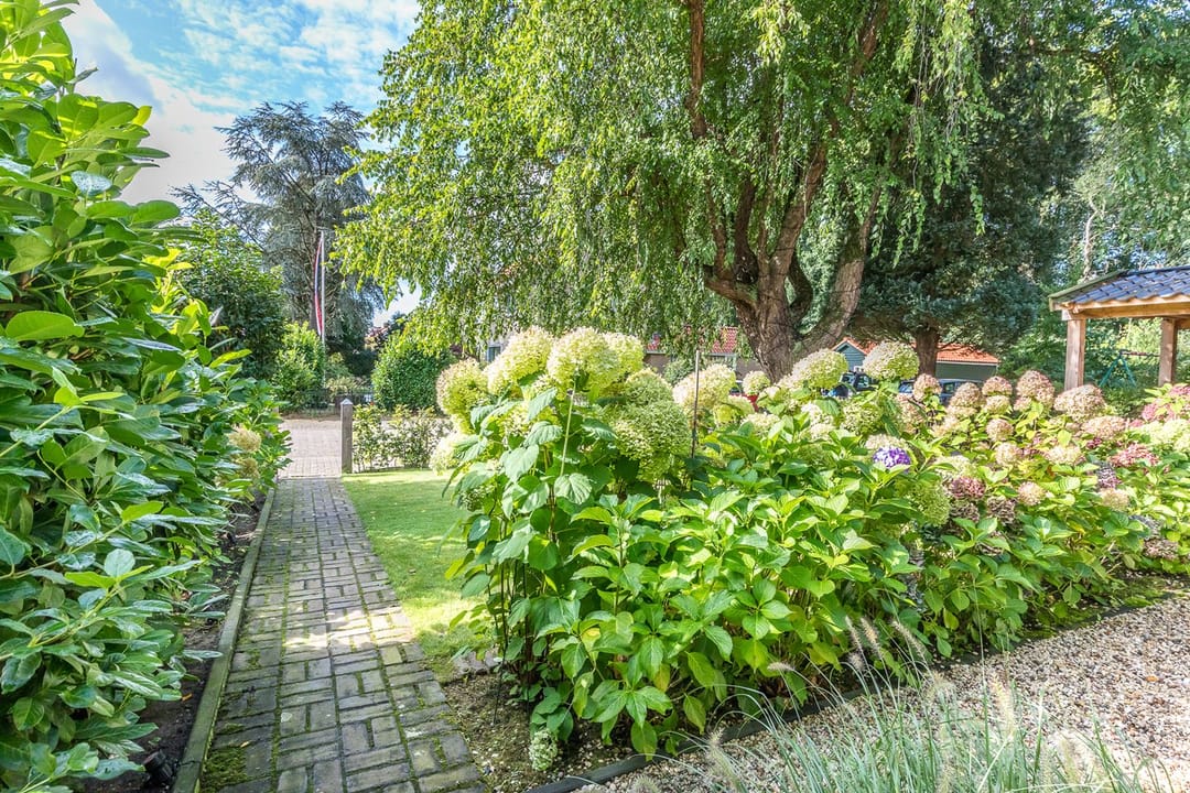 Foto 28 van Tolakkerweg 36