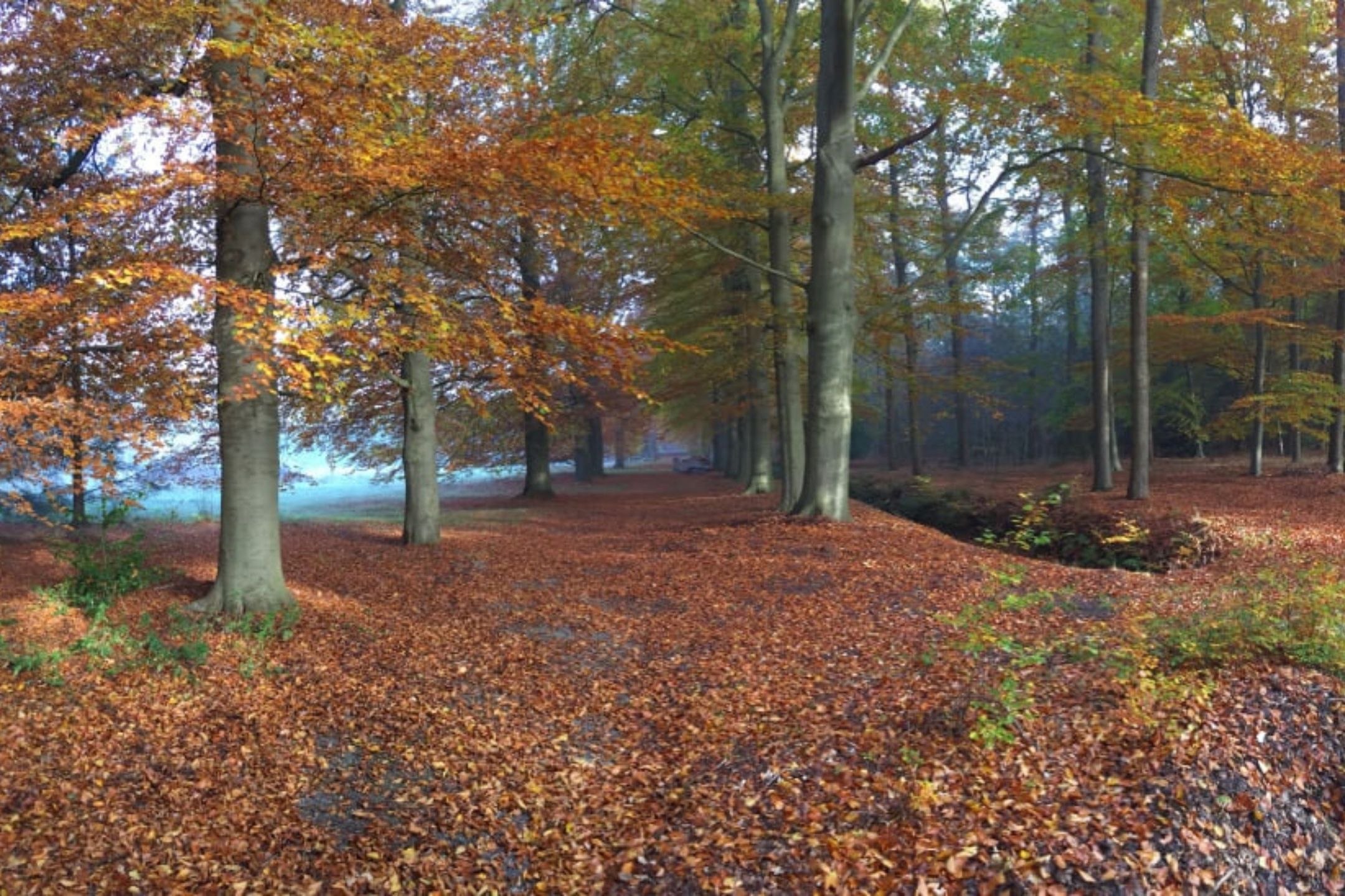 Foto 45 van Tolakkerweg 36