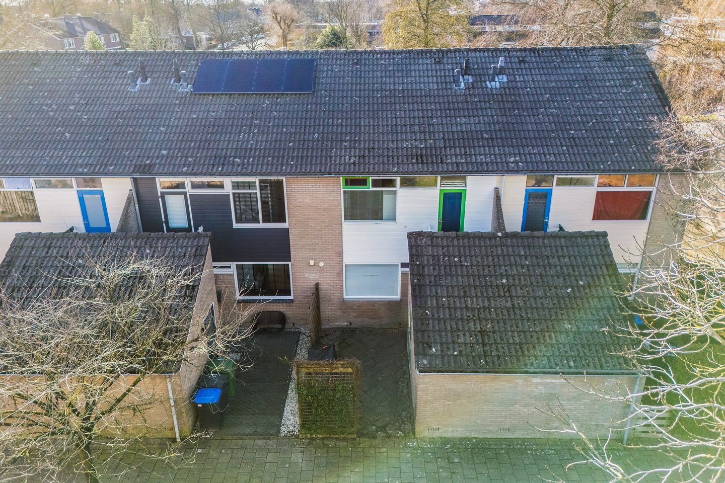 Foto 5 van Maagdepalm 4