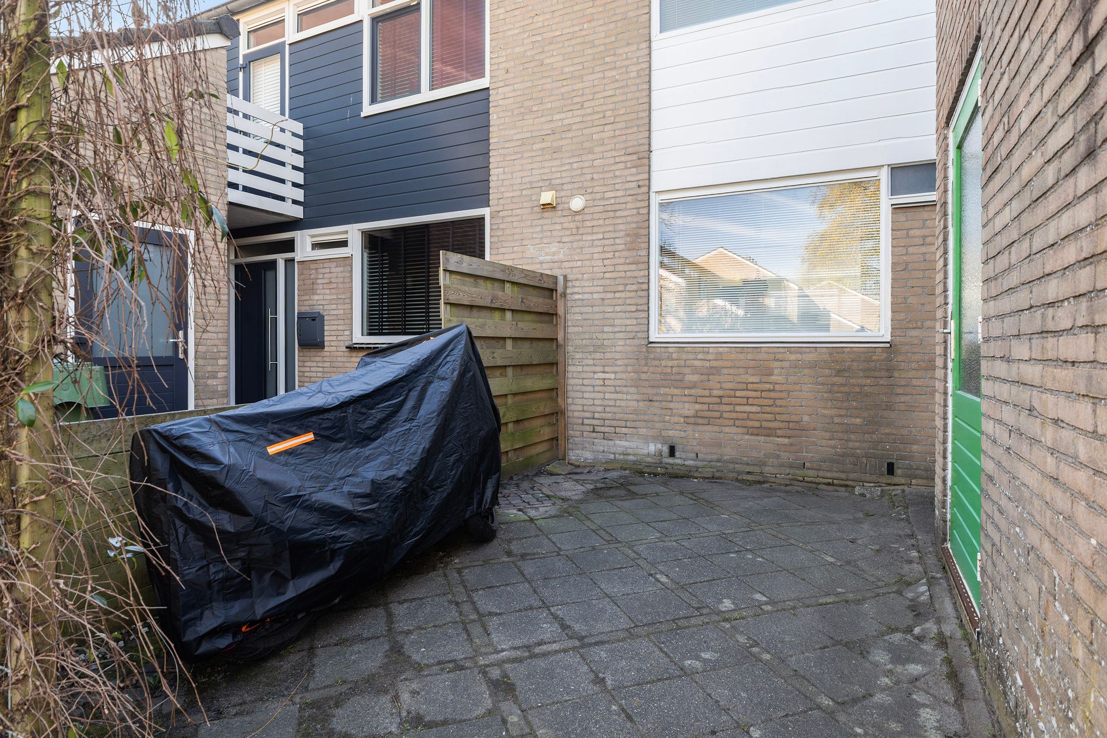 Foto 6 van Maagdepalm 4