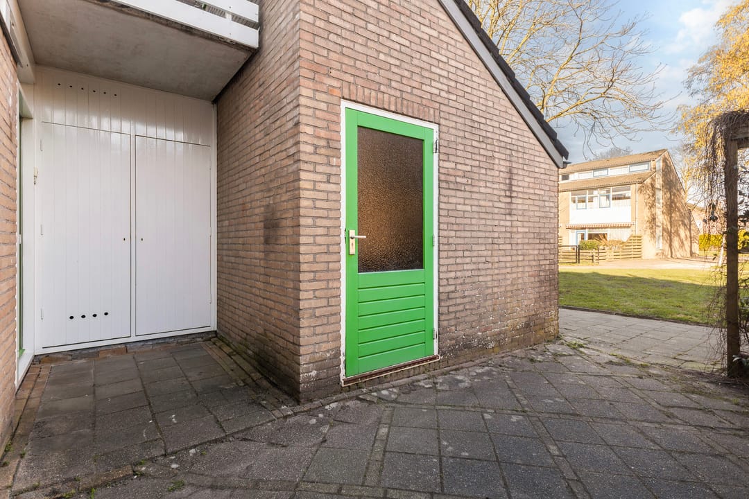 Foto 7 van Maagdepalm 4