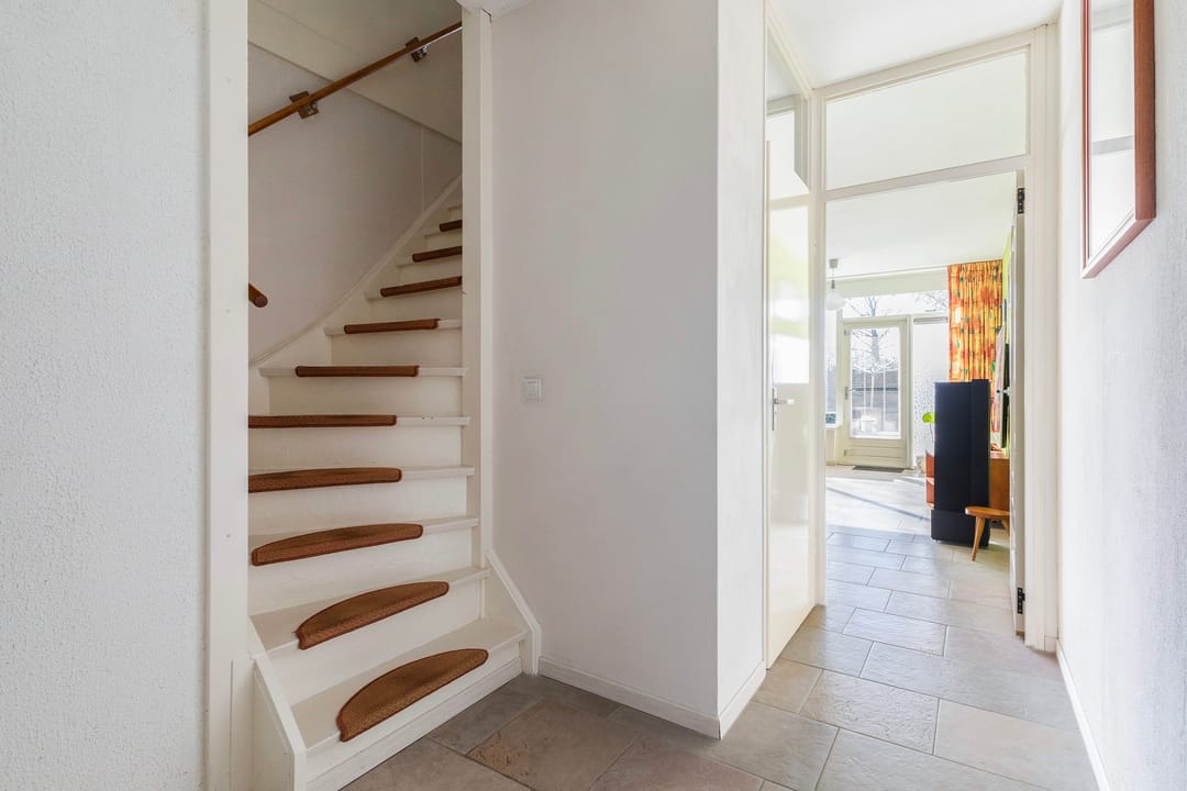 Foto 2 van Maagdepalm 4