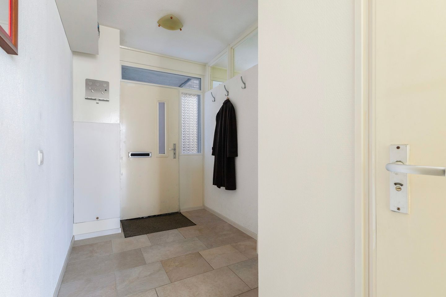 Foto 10 van Maagdepalm 4